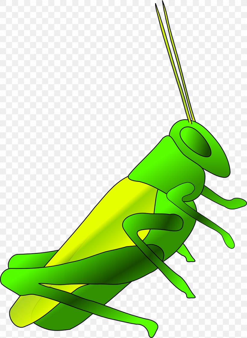 Jiminy Cricket Insect Clip Art, PNG, 933x1280px, Jiminy Cricket, Amphibian, Art, Batting, Cartoon Download Free