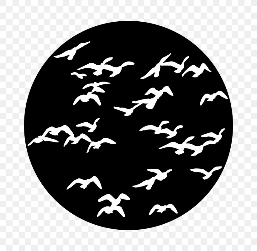 Bird Gobo Flock Design Stage Lighting, PNG, 800x800px, Bird, Animal, Bald Eagle, Black, Flock Download Free