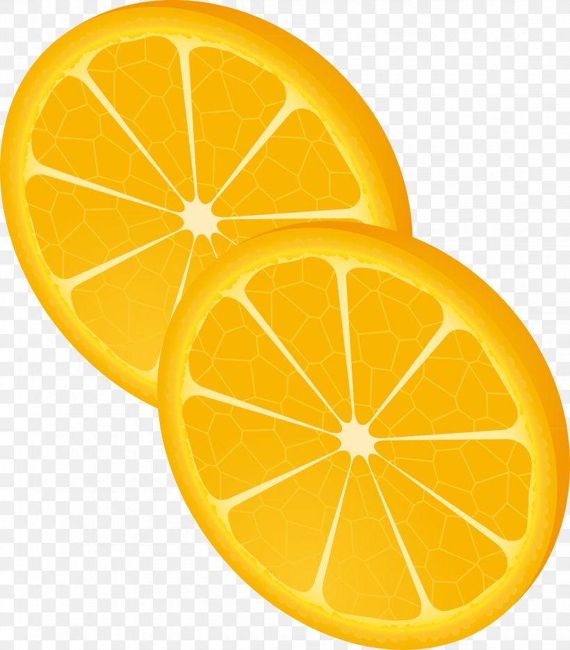 Lemon Orange Euclidean Vector, PNG, 2045x2330px, Lemon, Artworks, Citric Acid, Citron, Citrus Download Free