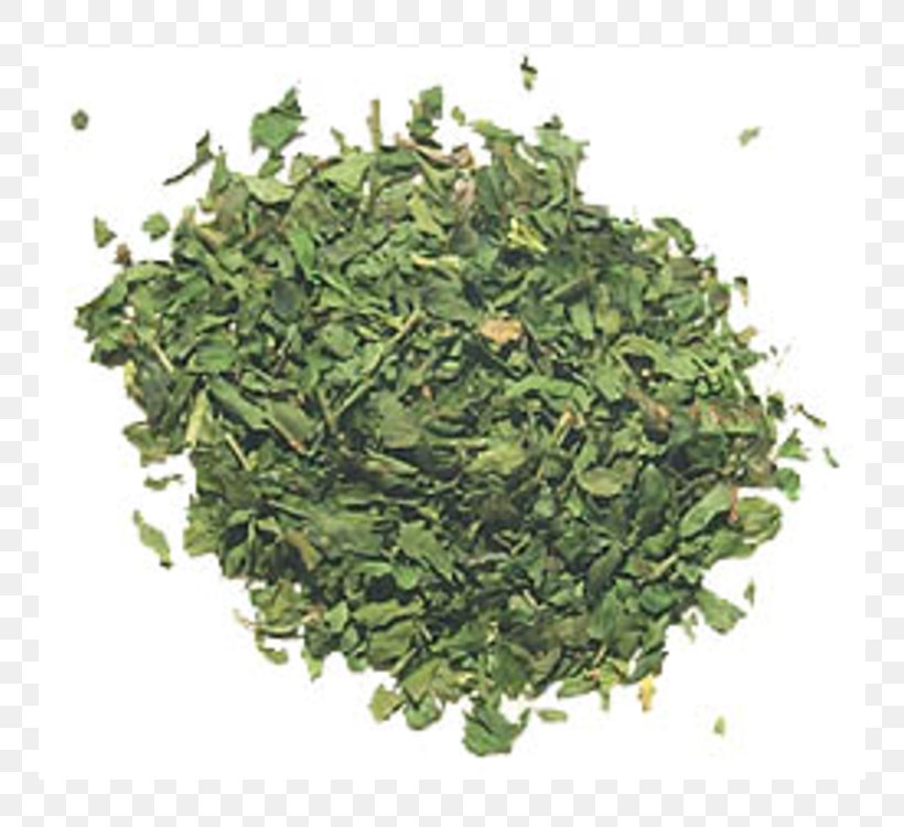 Matcha Green Tea Gyokuro Biluochun, PNG, 750x750px, Matcha, Bancha, Biluochun, Dill, Food Download Free