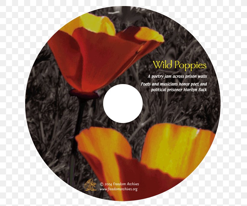 Wild Poppies: A Poetry Jam Across Prison Walls, PNG, 700x685px, Poetry, Certificate Of Deposit, Flower, Musician, Orange Download Free