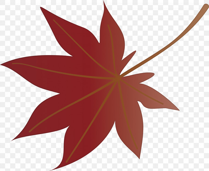 Autumn Leaf Colourful Foliage Colorful Leaves, PNG, 2999x2451px, Autumn Leaf, Autumn Leaf Color, Biodiversity, Biology, Colorful Leaf Download Free