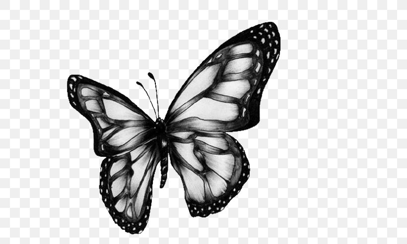 Butterfly Art Drawing Clip Art, PNG, 571x493px, Butterfly, Art, Arthropod, Black And White, Brush Footed Butterfly Download Free