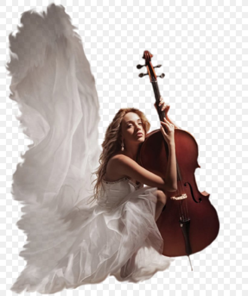 Cello Violin Double Bass Bass Guitar, PNG, 802x980px, Cello, Bass Guitar, Bowed String Instrument, Cellist, Double Bass Download Free
