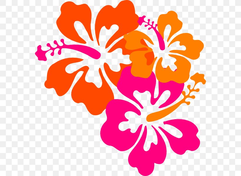 Hawaii Rosemallows Flower Clip Art, PNG, 582x598px, Hawaii, Artwork, Cuisine Of Hawaii, Cut Flowers, Flora Download Free
