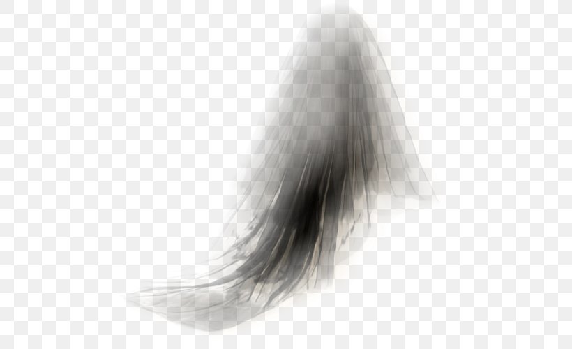 Long Hair Fur Tail White, PNG, 500x500px, Long Hair, Black And White, Fur, Hair, Tail Download Free