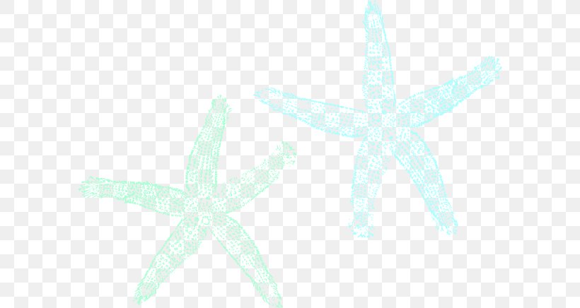 Marine Invertebrates Starfish Echinoderm Turquoise, PNG, 600x436px, Invertebrate, Animal, Aqua, Echinoderm, Fish Download Free