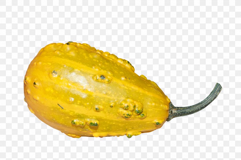 Calabaza Pumpkin Horned Melon Gourd Winter Squash, PNG, 2600x1733px, Calabaza, Citron, Corn On The Cob, Cucumber Gourd And Melon Family, Cucurbita Download Free