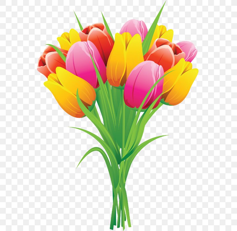 Clip Art Tulip Openclipart Free Content Flower, PNG, 568x800px, Tulip, Artificial Flower, Botany, Bouquet, Crocus Download Free