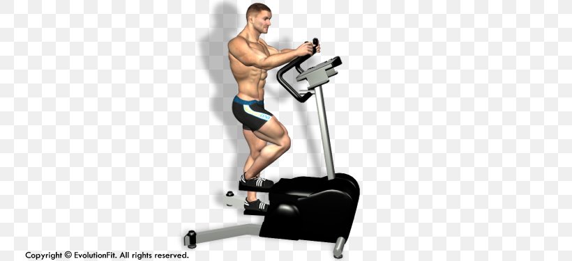 Elliptical Trainers Aerobic Exercise Physical Fitness Weight Training Fitness Centre, PNG, 750x375px, Watercolor, Cartoon, Flower, Frame, Heart Download Free