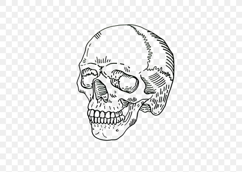 Human Skull Symbolism Drawing Skeleton Clip Art, PNG, 500x583px, Watercolor, Cartoon, Flower, Frame, Heart Download Free