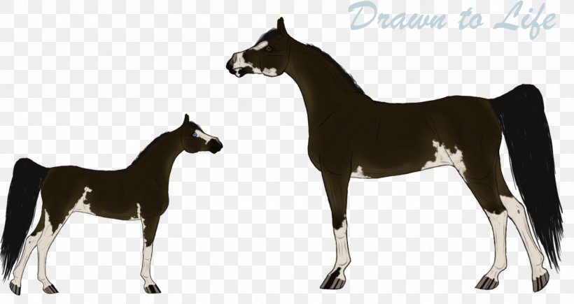 Mustang Foal Stallion Colt Mare, PNG, 1280x680px, Mustang, Animal Figure, Bridle, Colt, Foal Download Free