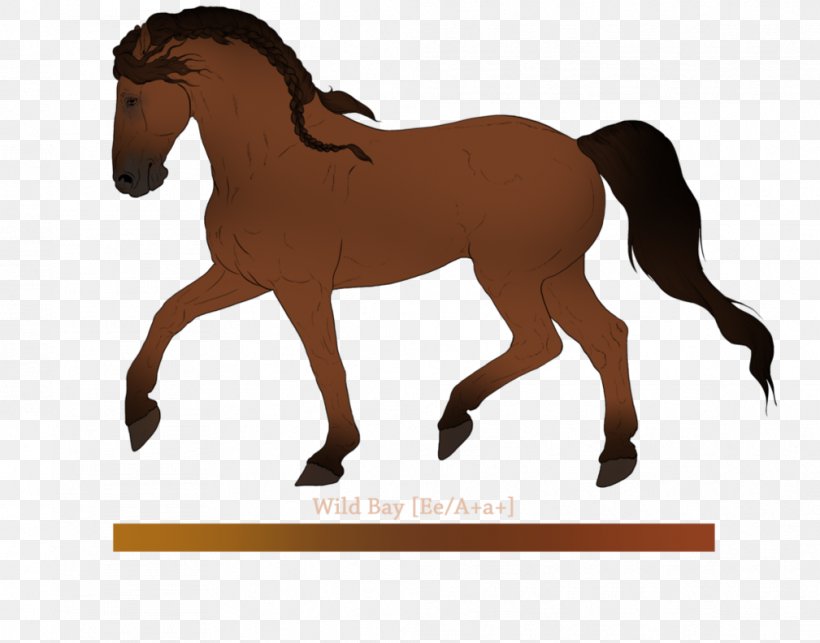 Mustang Stallion Foal Colt Mare, PNG, 1009x792px, Mustang, Animal Figure, Bridle, Brown, Colt Download Free