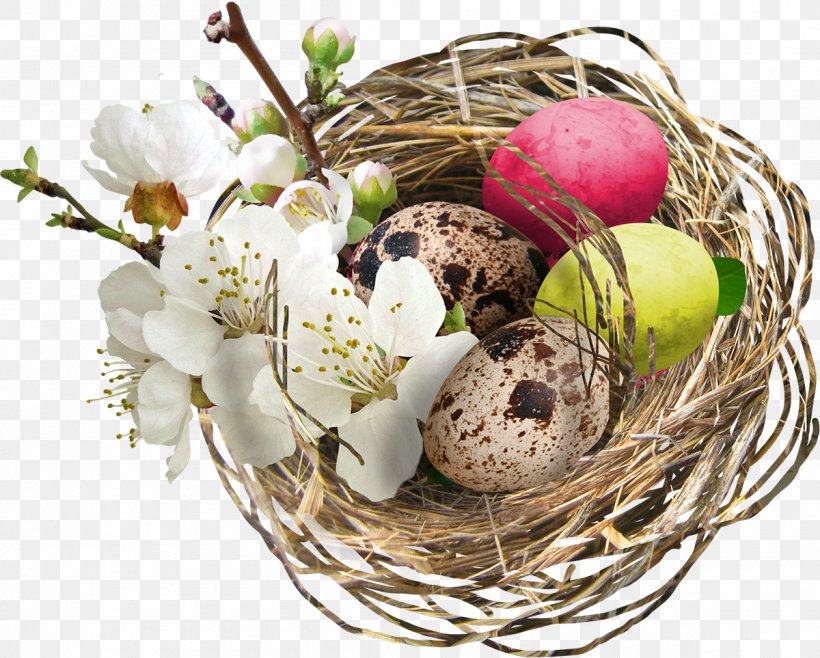 Bird Easter Egg Nest, PNG, 1200x963px, Bird, Basket, Bird Nest, Easter, Easter Egg Download Free