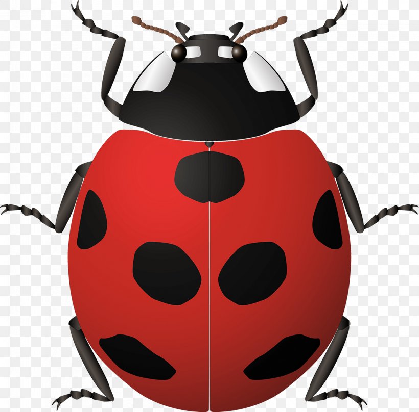 Ladybird Beetle Seven-spot Ladybird Clip Art, PNG, 1200x1183px, Ladybird Beetle, Animal, Arthropod, Beetle, Drawing Download Free