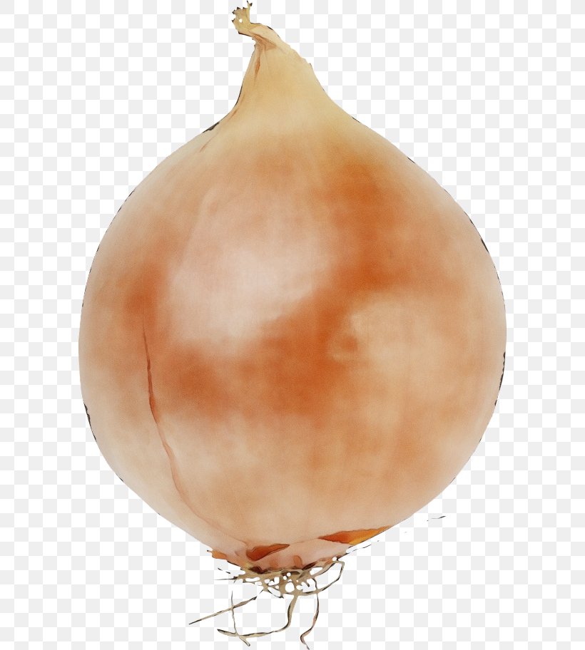 Onion Vegetable Yellow Onion Food Shallot, PNG, 600x912px, Watercolor, Allium, Food, Onion, Paint Download Free