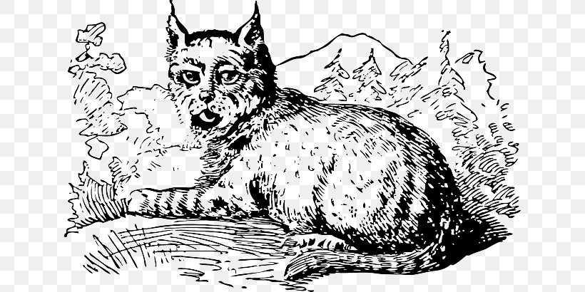 Wildcat Whiskers Eurasian Lynx Clip Art, PNG, 640x410px, Cat, Art, Artwork, Bird, Black And White Download Free