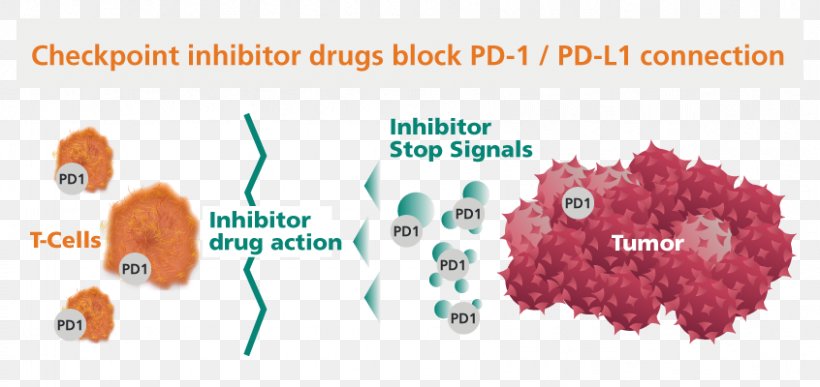 Checkpoint Inhibitor PD-1 And PD-L1 Inhibitors Immune Checkpoint Programmed Cell Death Protein 1 Cancer, PNG, 846x400px, Checkpoint Inhibitor, Brand, Cancer, Drug, Immune Checkpoint Download Free