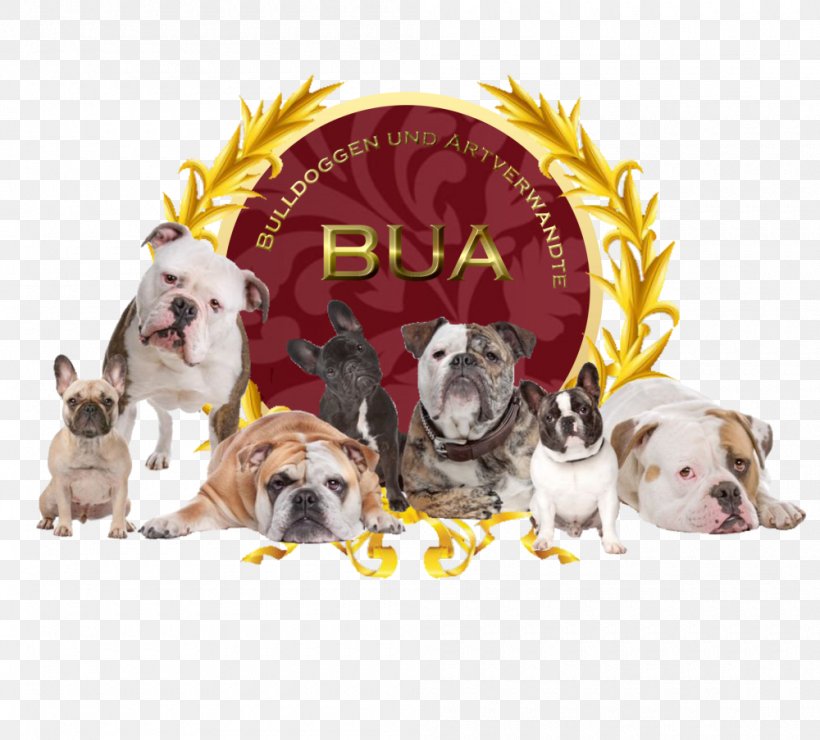 French Bulldog American Bulldog Photography Bulldog Breeds, PNG, 1000x903px, French Bulldog, American Bulldog, Breed, Bulldog, Bulldog Breeds Download Free