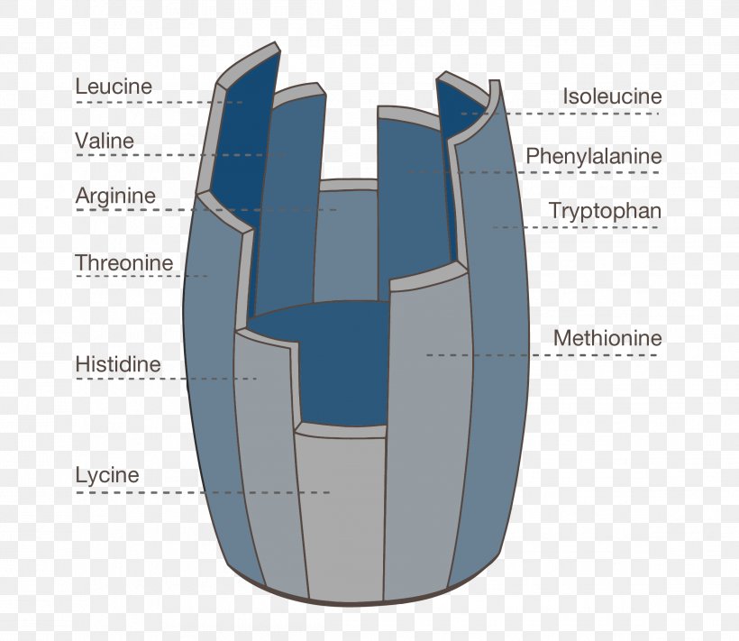 Personal Protective Equipment Brand, PNG, 2319x2011px, Personal Protective Equipment, Brand, Diagram, Text Download Free