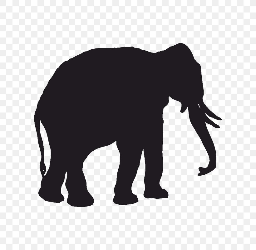 Wall Decal Sticker Elephant Polyvinyl Chloride, PNG, 800x800px, Decal, African Elephant, Black, Black And White, Bumper Sticker Download Free