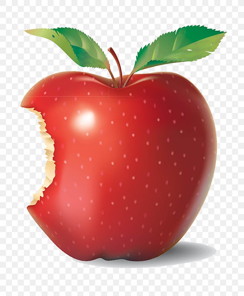 Apple Clip Art, PNG, 800x995px, Apple, Accessory Fruit, Diet Food, Food, Fruit Download Free