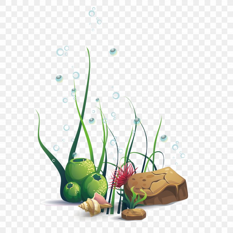 Aquatic Plant Clip Art, PNG, 5000x5000px, Aquatic Plant, Aquarium, Plant, Seawater, Still Life Photography Download Free