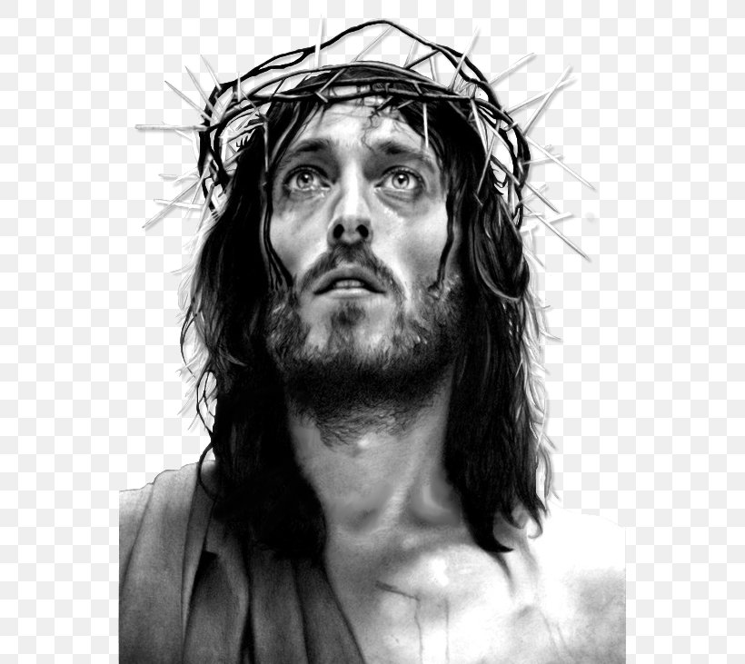 Jesus Of Nazareth, PNG, 559x731px, Jesus, Beard, Black And White, Chin, Christ Pantocrator Download Free