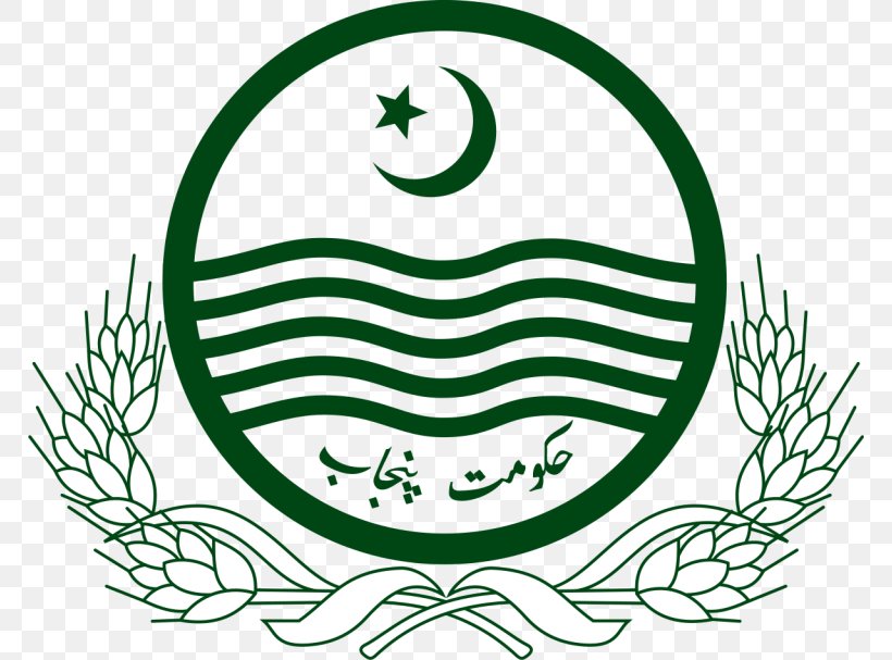 Lahore Government Of Punjab, Pakistan Governor Of Punjab, Pakistan Punjab Land Records Authority, PNG, 768x607px, Lahore, Area, Black And White, Flower, Government Download Free