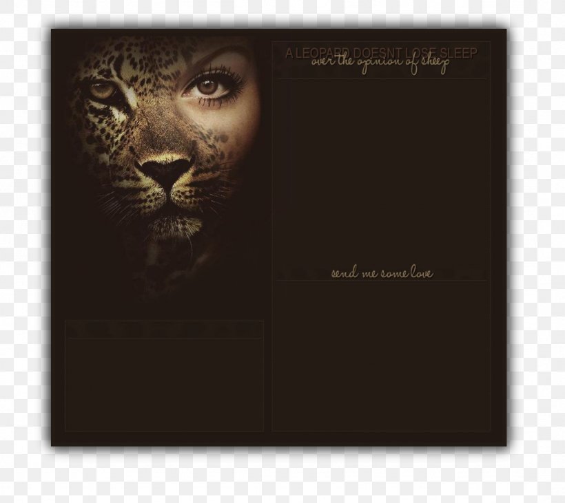 Tiger Lion Cat Morphing Jaguar, PNG, 1076x960px, Tiger, Animal, Animal Faces, Big Cats, Carnivoran Download Free