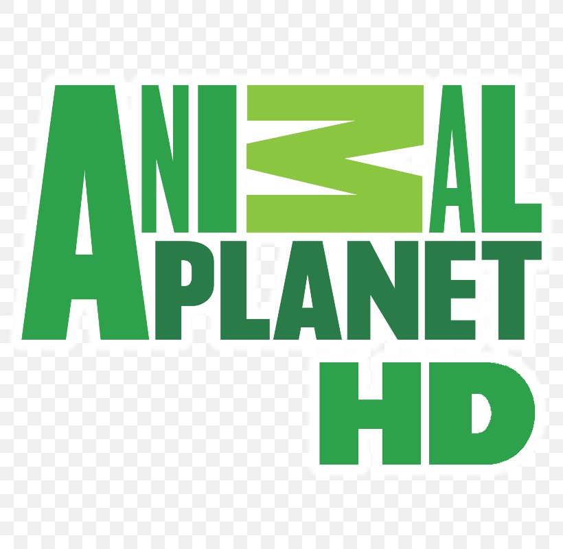 Animal Planet Logo Television Channel, PNG, 800x800px, Animal Planet, Animal  Planet Hd, Area, Brand, Discovery Channel
