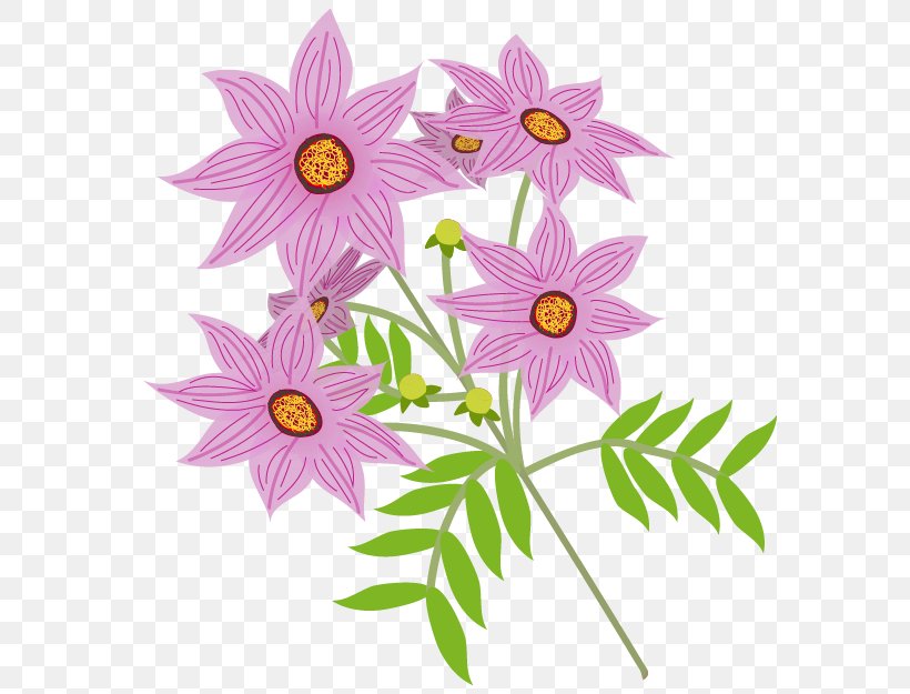 Dahlia Imperialis Flower Common Daisy Daisy Family, PNG, 625x625px, Dahlia Imperialis, Autumn, Chrysanthemum, Chrysanths, Common Daisy Download Free