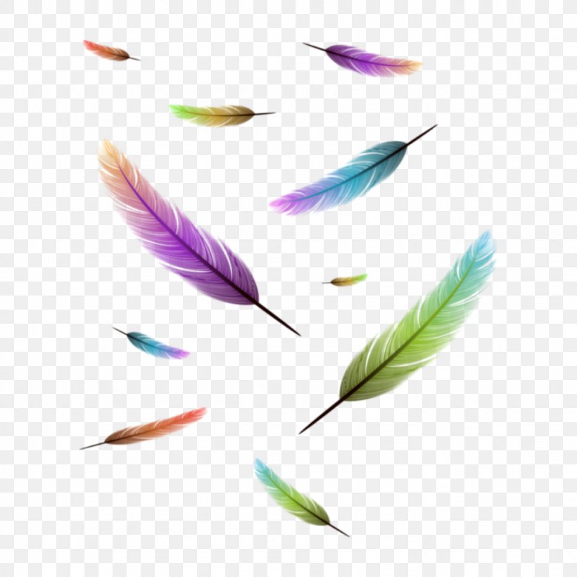 Feather Drawing Image Clip Art Bird, PNG, 1024x1024px, Feather, Bird, Color, Drawing, Petal Download Free