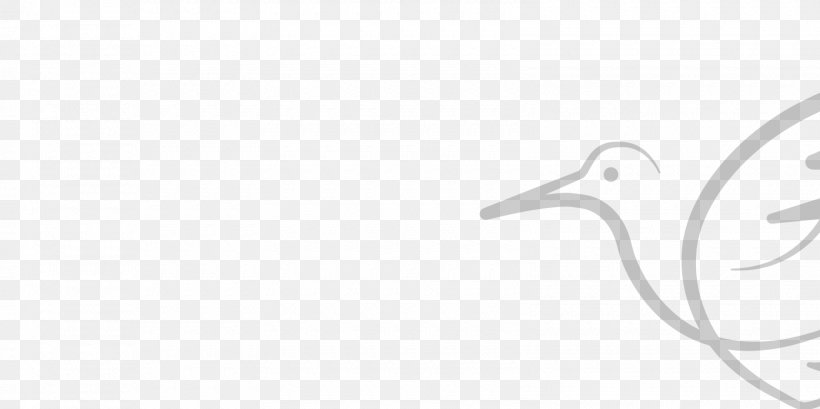 Logo Desktop Wallpaper White Font, PNG, 1600x800px, Logo, Beak, Bird, Black And White, Brand Download Free