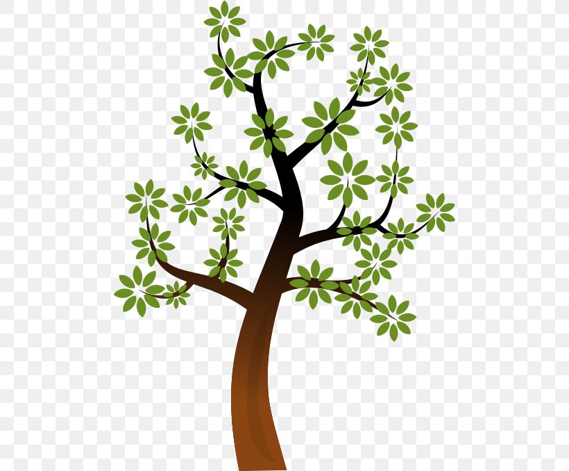 Tree Branch Clip Art, PNG, 494x678px, Tree, Arecaceae, Branch, Drawing, Flora Download Free
