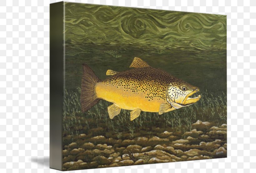 Troutman Gallery Wrap Aquariums Art, PNG, 650x554px, Trout, Aquarium, Aquariums, Art, Bony Fish Download Free