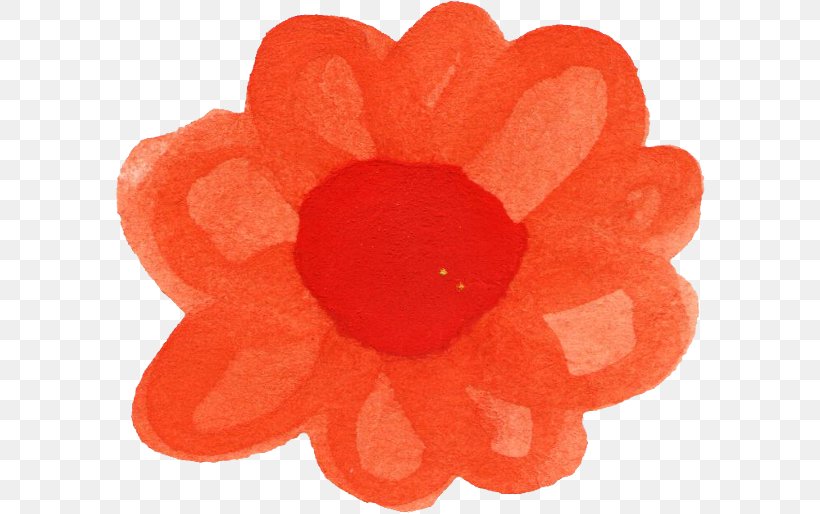 Flower Petal Watercolor Painting, PNG, 592x514px, Flower, Com, Orange, Peach, Petal Download Free