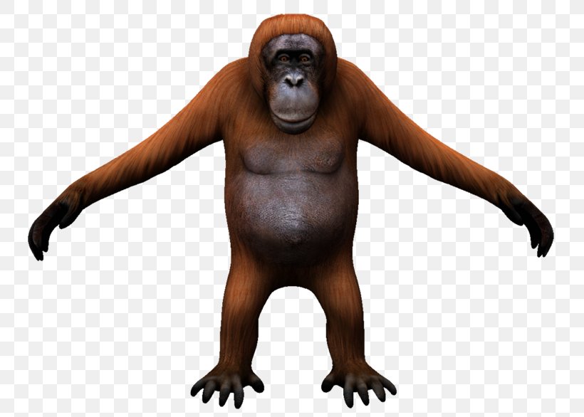 Gorilla Orangutan Monkey Carnivora Wildlife, PNG, 750x586px, Gorilla, Aggression, Animal, Animal Figure, Carnivora Download Free