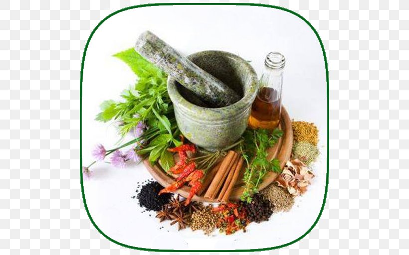 Herb Thai Cuisine Spice PHARMACIE AL JABAL Oil, PNG, 512x512px, Herb, Ayurveda, Essential Oil, Extract, Flavor Download Free