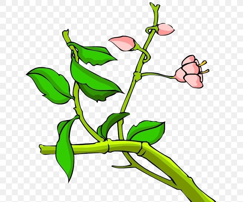 Floral Design Twig Leaf Plant Stem Green, PNG, 720x683px, Floral Design, Artwork, Branch, Flora, Flower Download Free