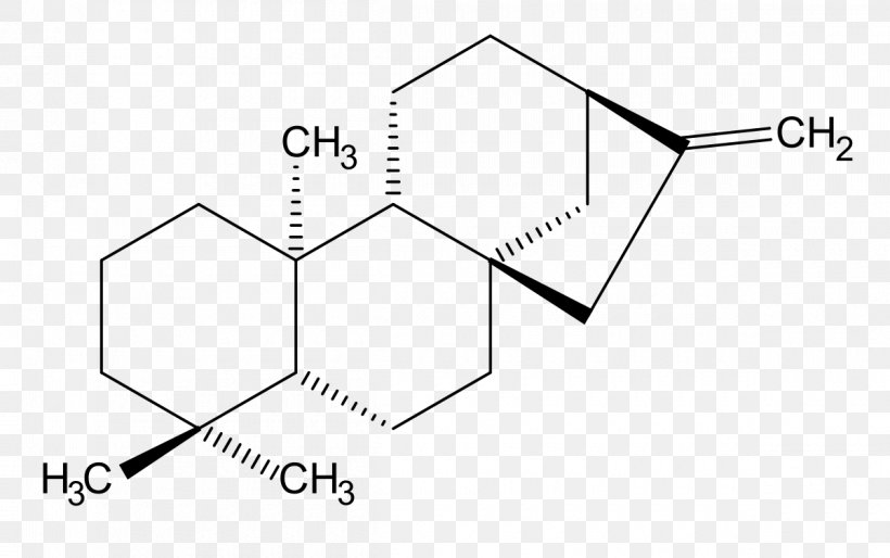 Gibberellin Paper Plant Hormone Diterpene BKChem, PNG, 1200x753px, Gibberellin, Area, Bkchem, Black, Black And White Download Free