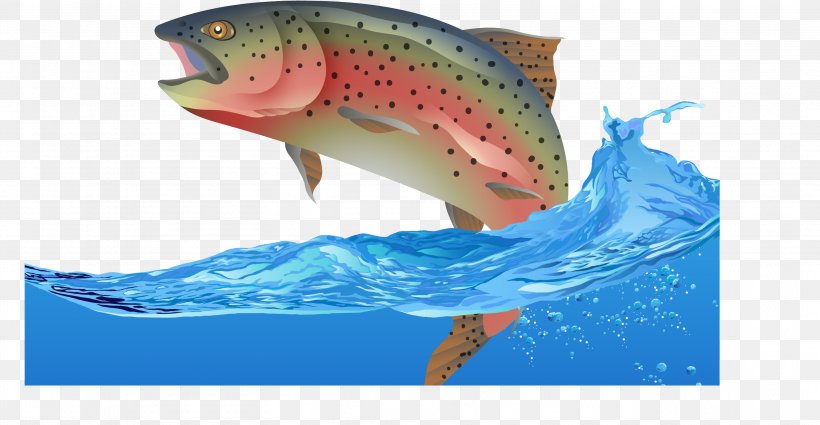 Rainbow Trout Fish Euclidean Vector, PNG, 3132x1625px, Rainbow Trout, Angling, Drawing, Fauna, Fish Download Free