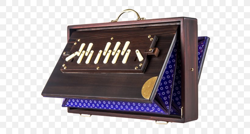Shruti Box Musical Instruments Tanpura, PNG, 580x440px, Watercolor, Cartoon, Flower, Frame, Heart Download Free
