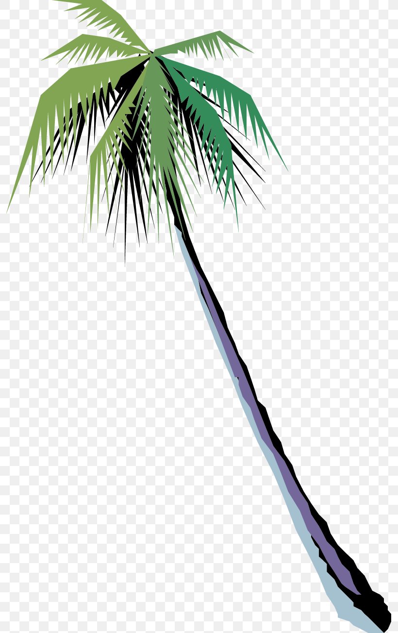 Arecaceae Tree Coconut, PNG, 793x1304px, Arecaceae, Arecales, Beach, Branch, Coast Download Free