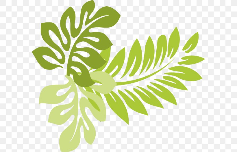 Hawaii Leaf Clip Art, PNG, 600x529px, Hawaii, Black And White, Branch, Flora, Floral Design Download Free