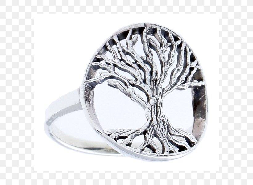 Ring - Ring Sterling Silver Jewellery Costume Jewelry PNG