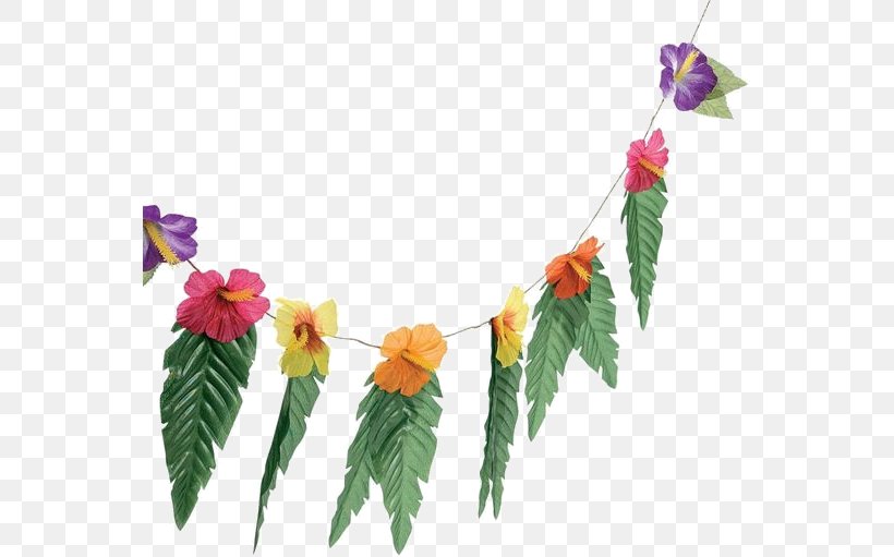 Flowers Background, PNG, 557x511px, Luau, Aloha, Artificial Flower, Cut Flowers, Dendrobium Download Free