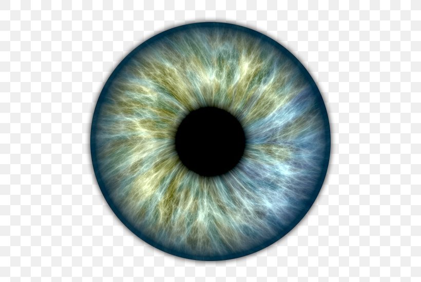 Iris Human Eye Pupil Retinal Scan, PNG, 510x550px, Watercolor, Cartoon, Flower, Frame, Heart Download Free