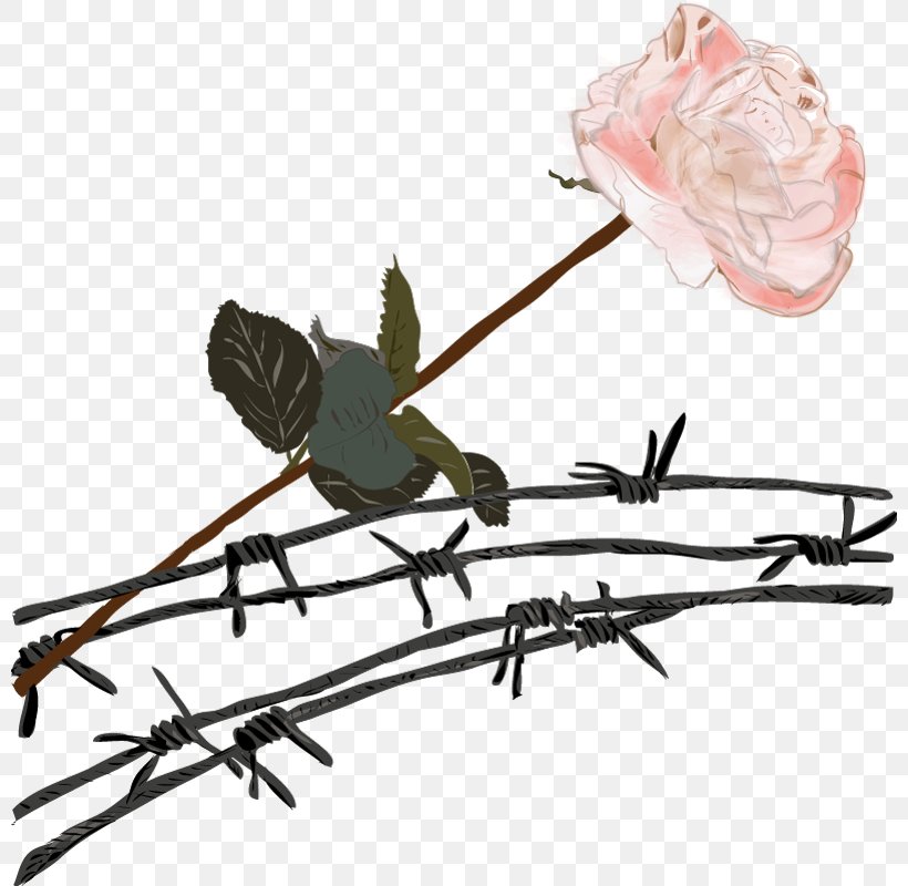 Ranged Weapon Twig Plant Stem Clip Art, PNG, 800x800px, Ranged Weapon, Bird, Branch, Flower, Insect Download Free