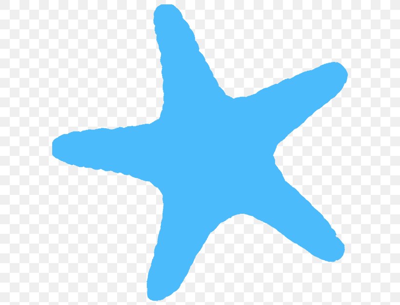 Starfish Echinoderm Marine Biology Shark Marine Mammal, PNG, 617x626px, Starfish, Biology, Blue, Cartilaginous Fish, Echinoderm Download Free